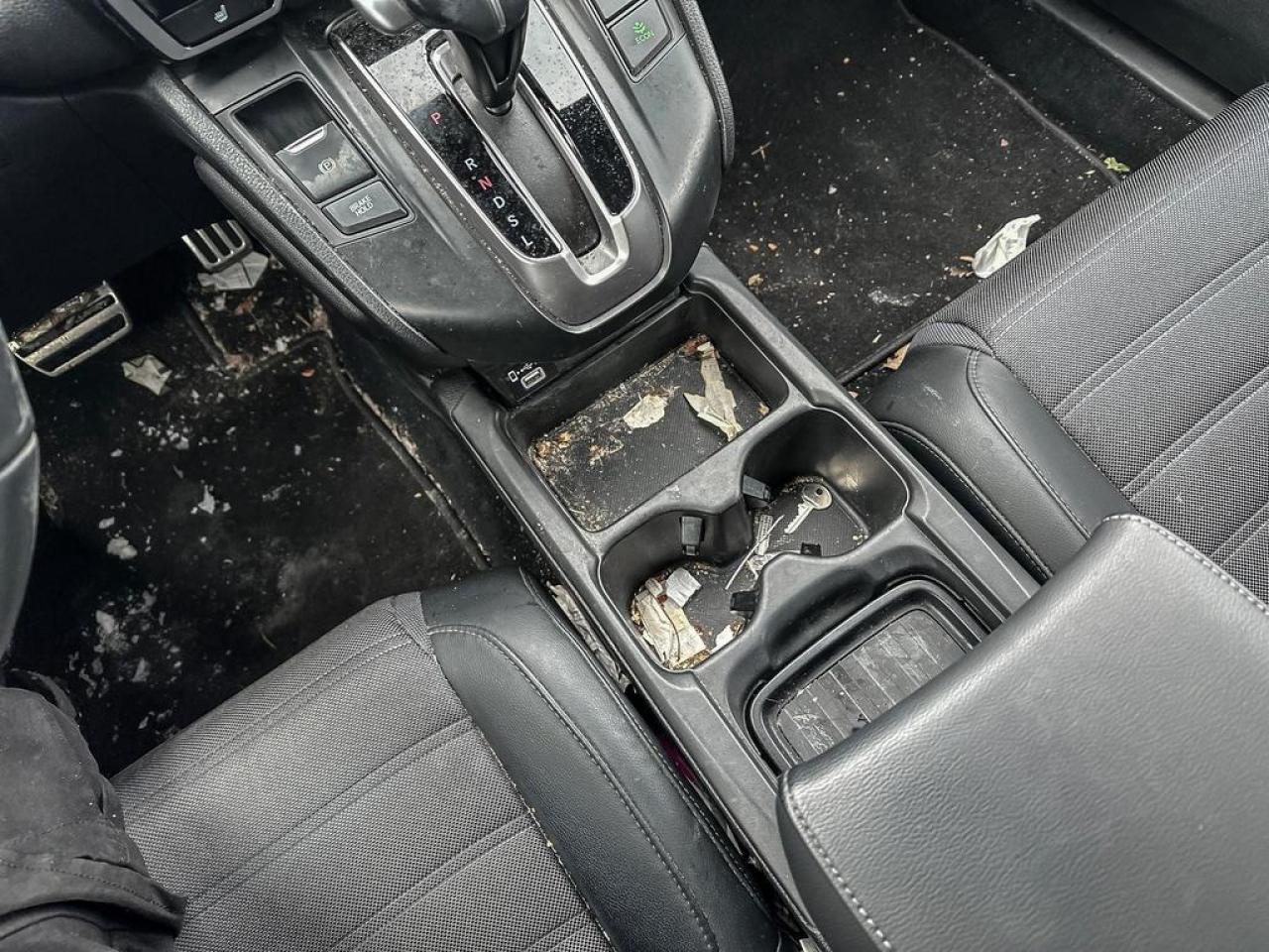 2022 Honda CR-V Sport Photo