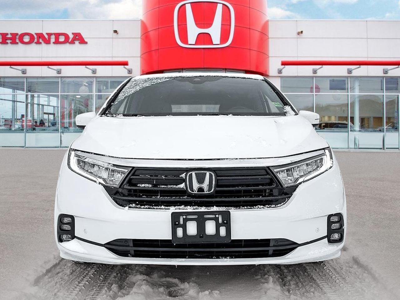2024 Honda Odyssey EX-L Photo