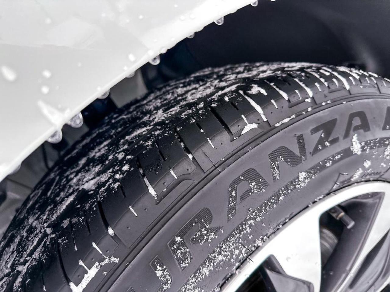 2024 Honda Odyssey EX-L Photo