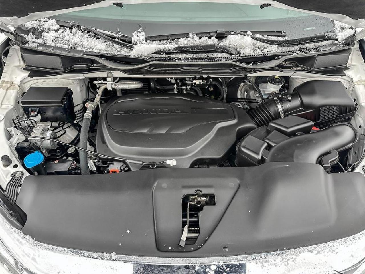 2024 Honda Odyssey EX-L Photo