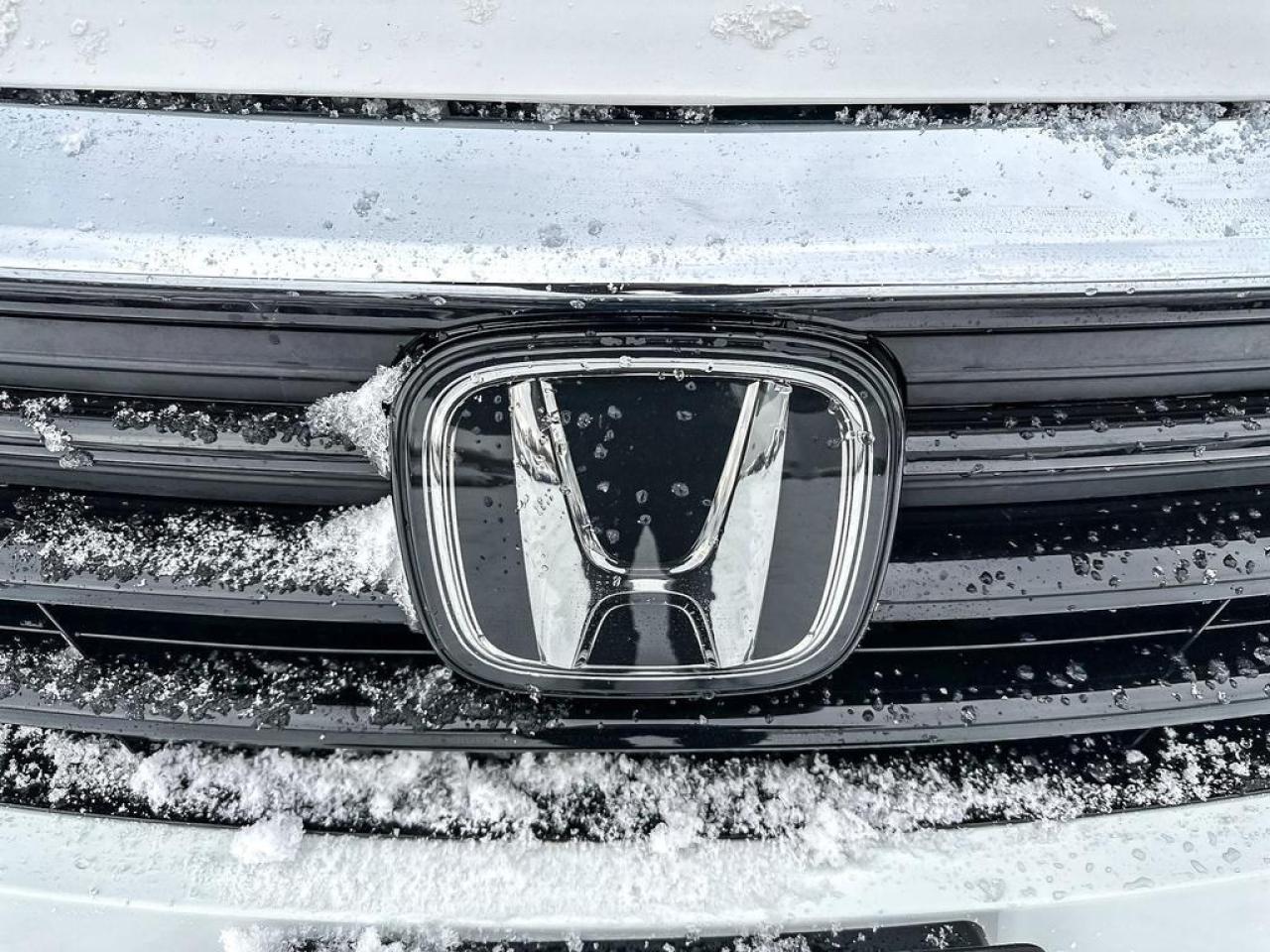 2024 Honda Odyssey EX-L Photo