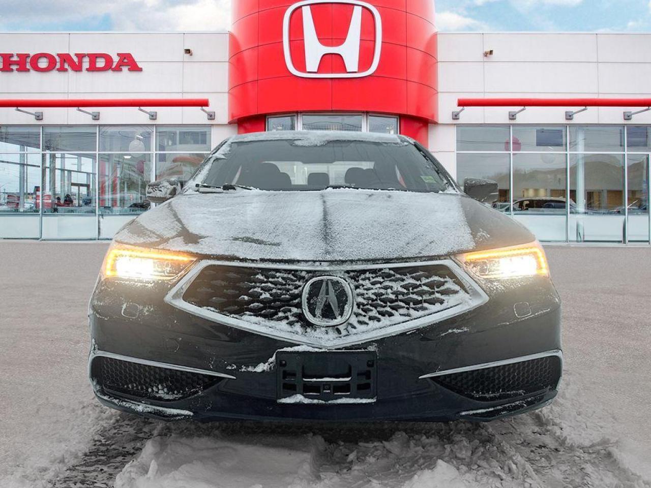 2019 Acura TLX Tech Photo