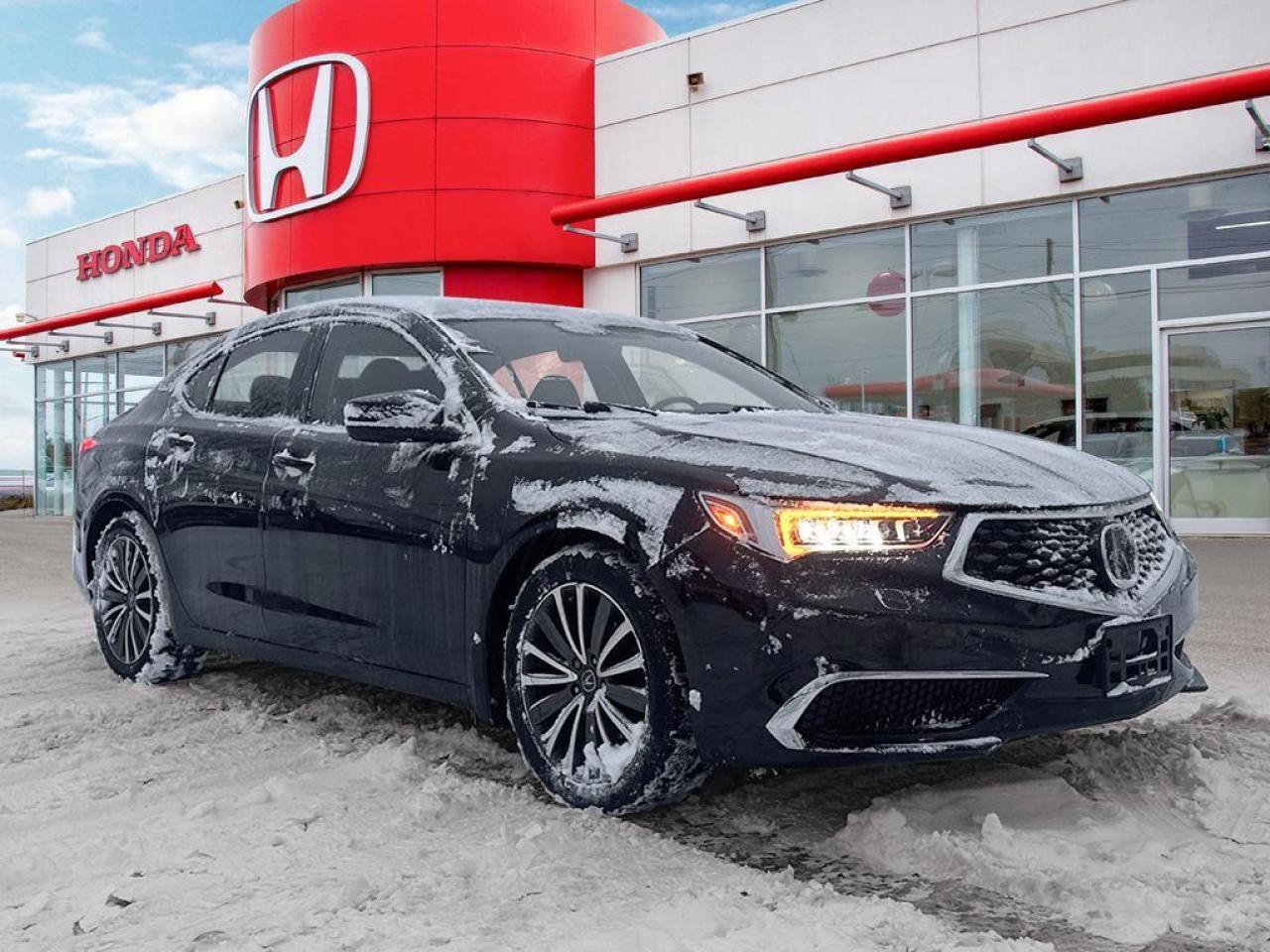 2019 Acura TLX Tech Photo