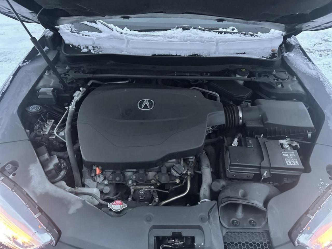 2019 Acura TLX Tech Photo