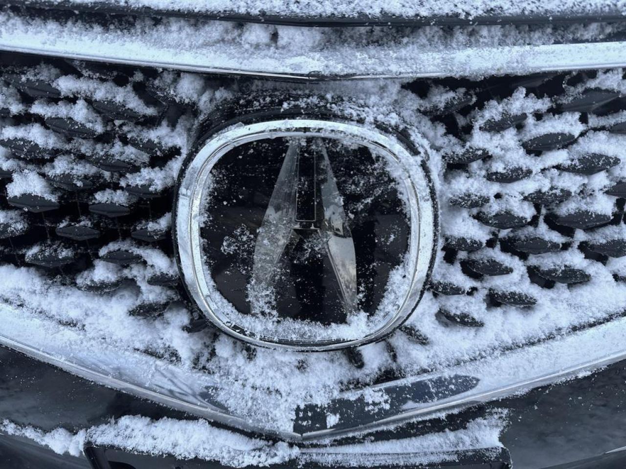 2019 Acura TLX Tech Photo