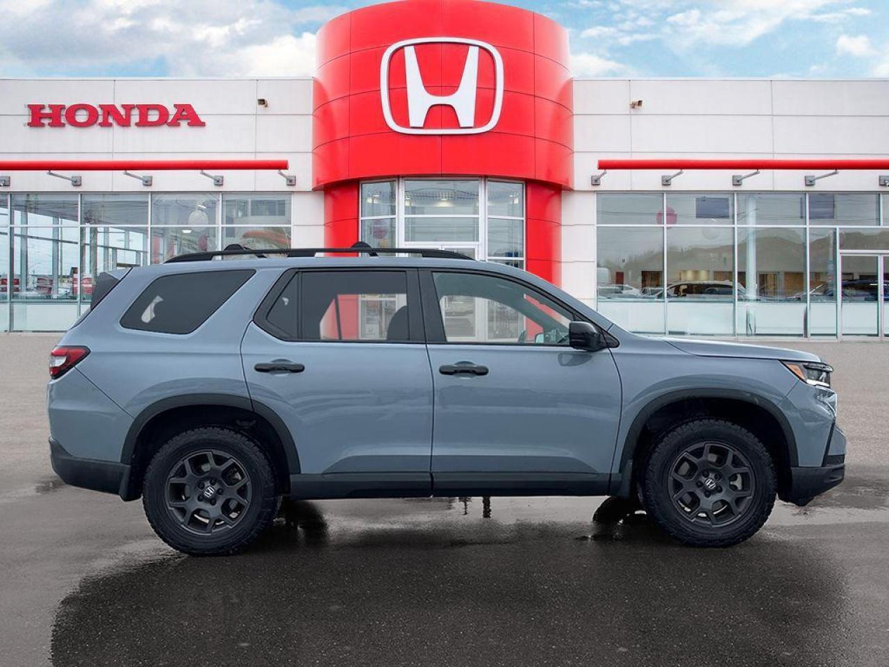 2025 Honda Pilot TrailSport Photo
