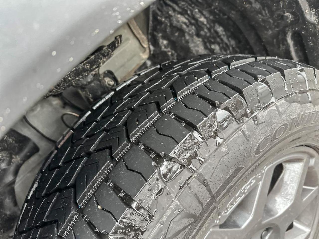 2025 Honda Pilot TrailSport Photo