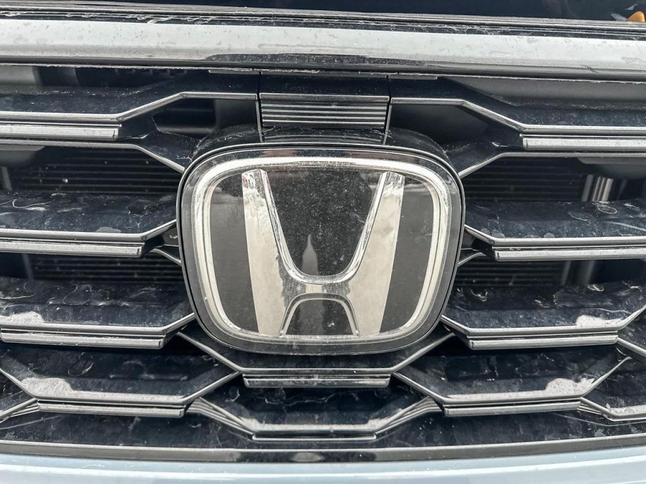 2025 Honda Pilot TrailSport Photo