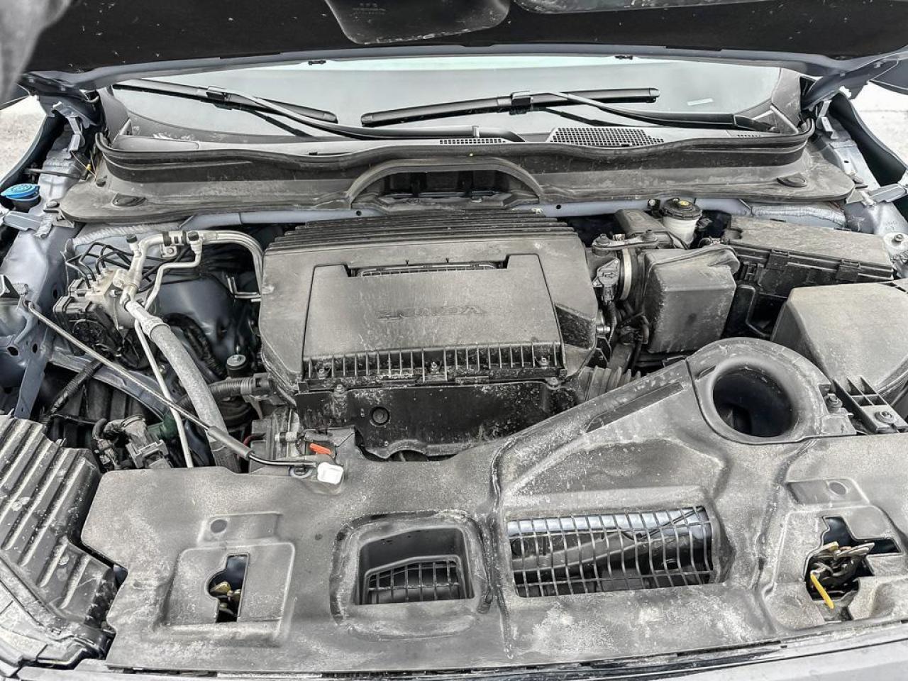 2025 Honda Pilot TrailSport Photo