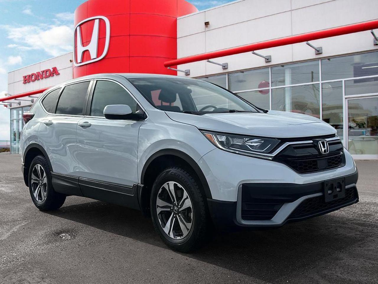 2022 Honda CR-V LX Photo