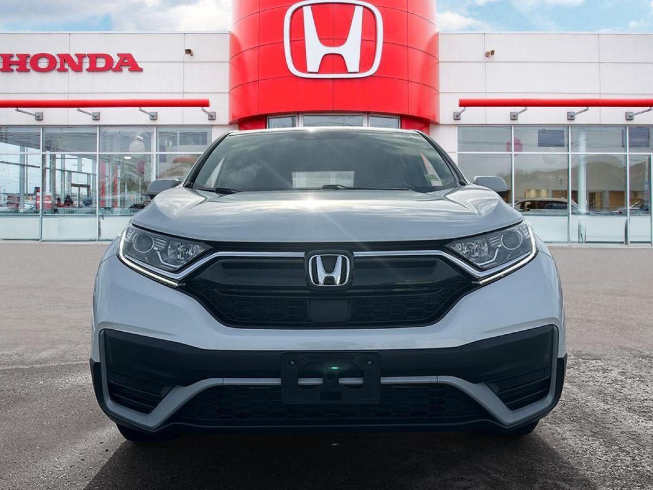2022 Honda CR-V LX Photo