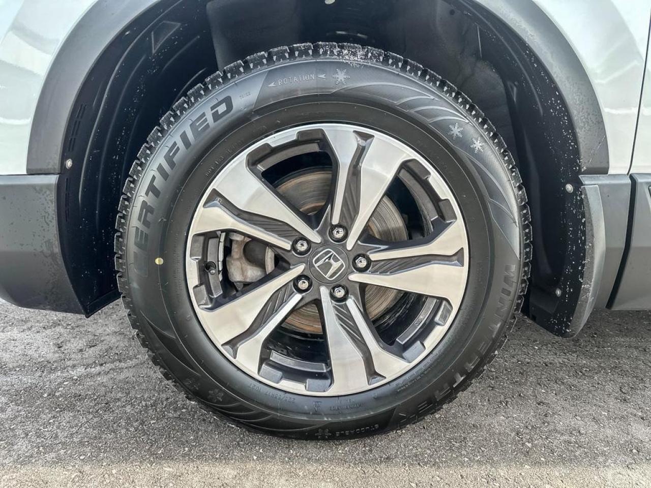 2022 Honda CR-V LX Photo