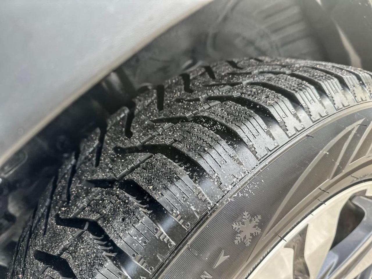 2022 Honda CR-V LX Photo