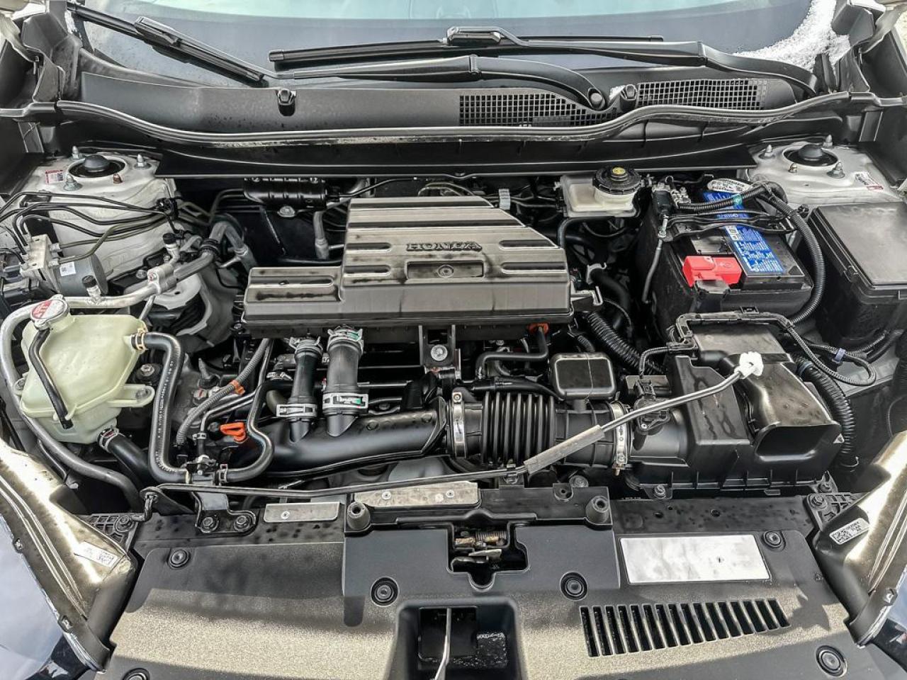 2022 Honda CR-V LX Photo