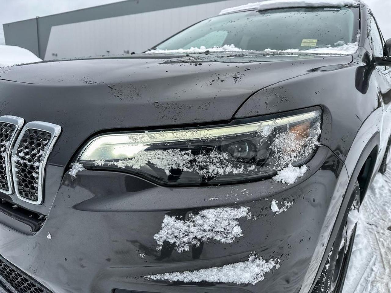 2019 Jeep Cherokee North Photo