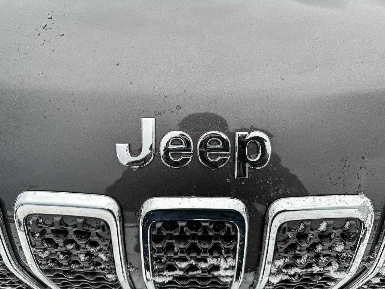 2019 Jeep Cherokee North Photo