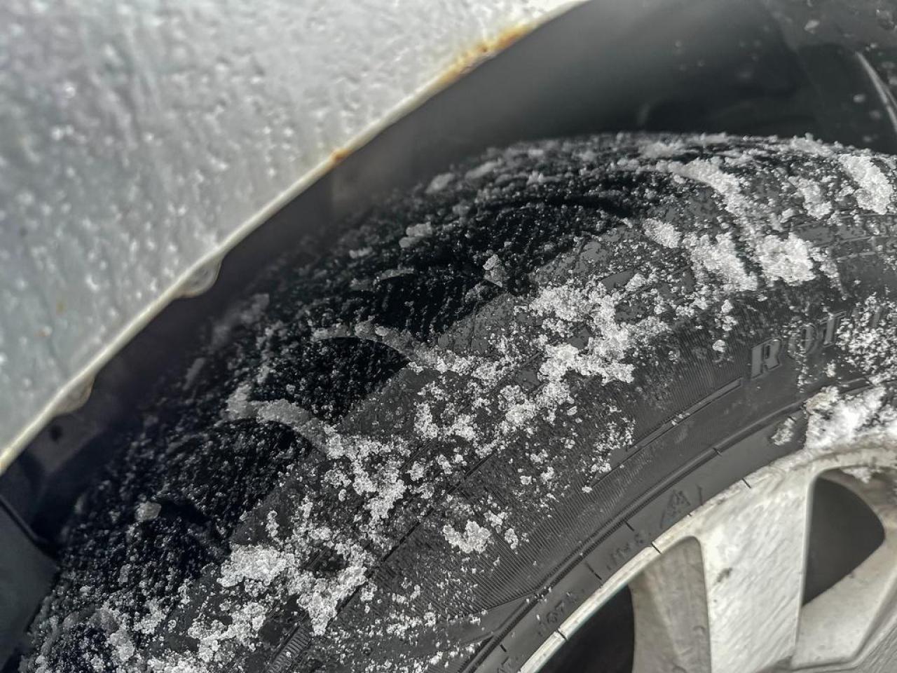 2010 Honda Pilot EX-L Photo