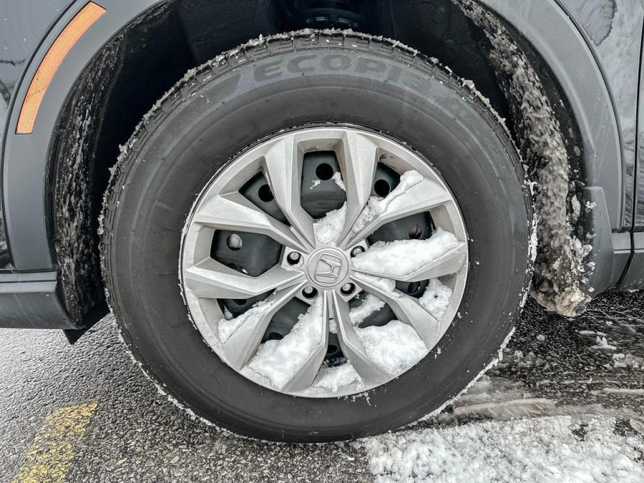 2025 Honda CR-V LX Photo