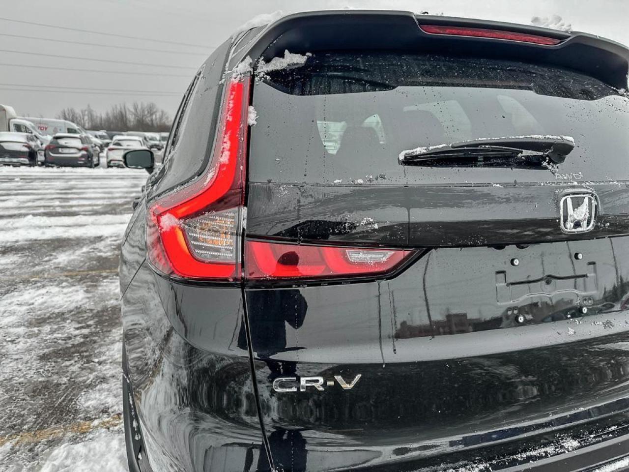 2025 Honda CR-V LX Photo