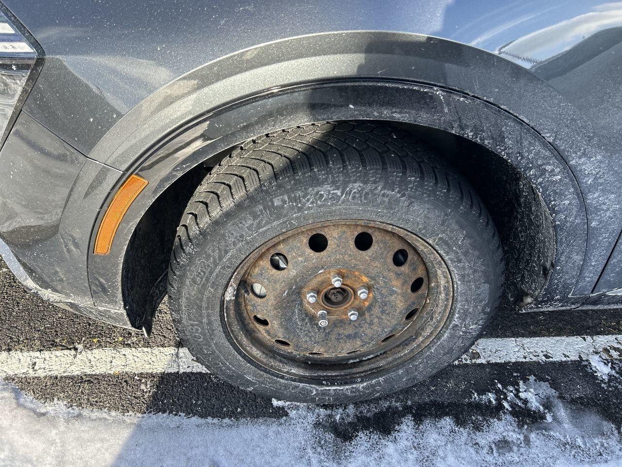 2023 Kia Sportage Hybrid SX   Power Meets Efficiency in Style HYBRID   NO A Photo