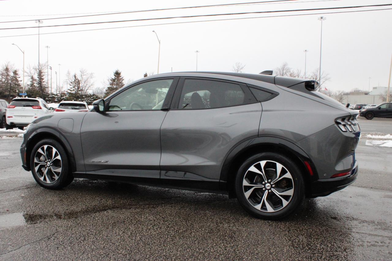 2021 Ford Mustang Mach-E Premium X AWD   No Accident   Extended Range Photo