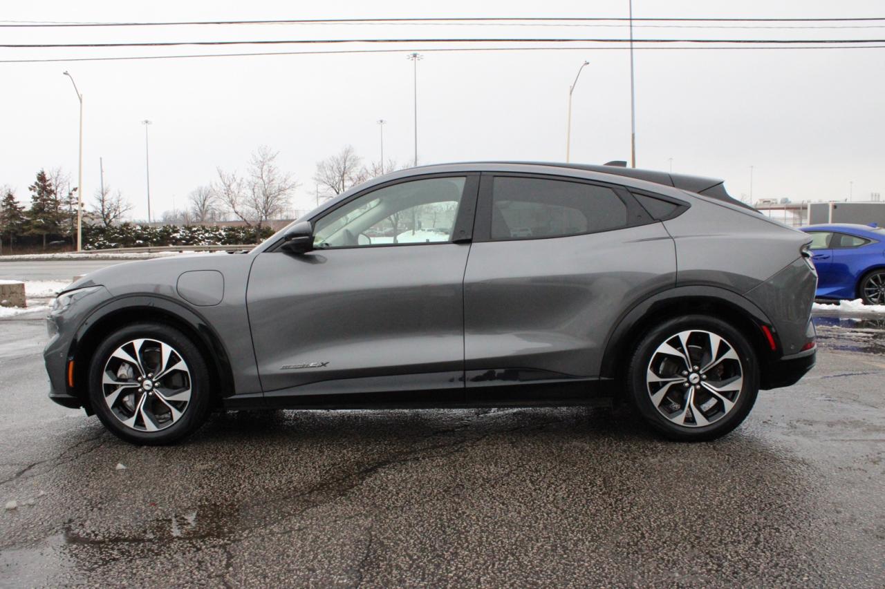 2021 Ford Mustang Mach-E Premium X AWD   No Accident   Extended Range Photo3