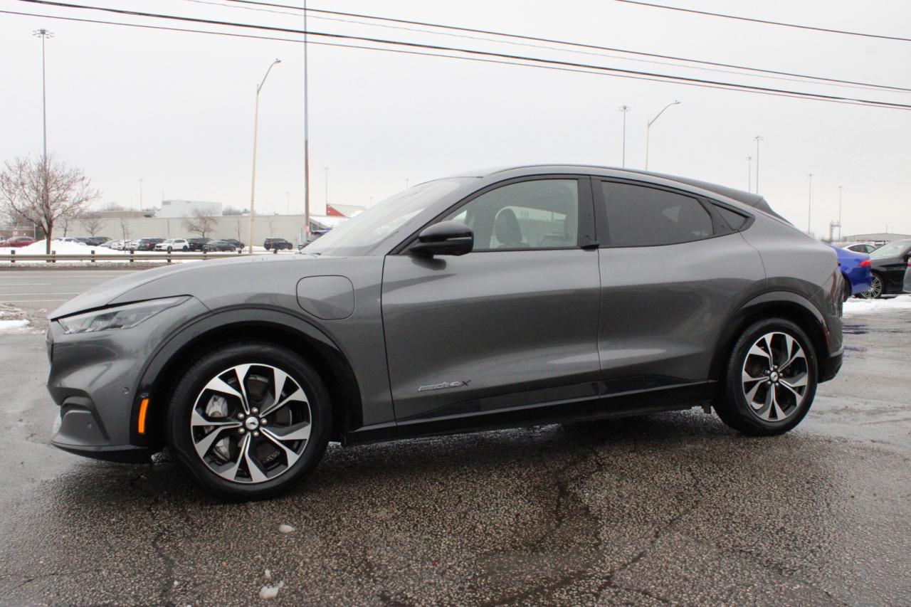 2021 Ford Mustang Mach-E Premium X AWD   No Accident   Extended Range Photo2