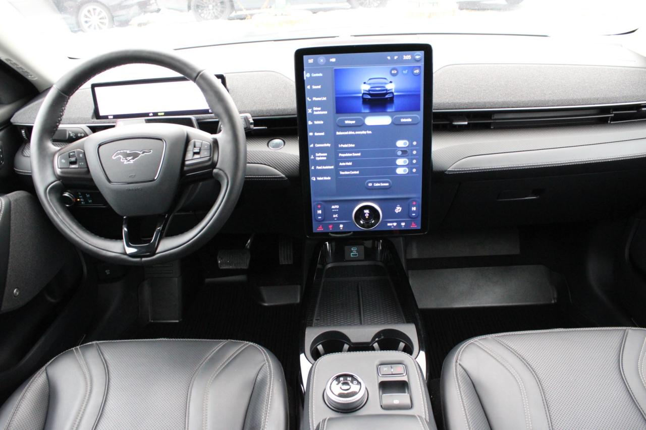 2021 Ford Mustang Mach-E Premium X AWD   No Accident   Extended Range Photo