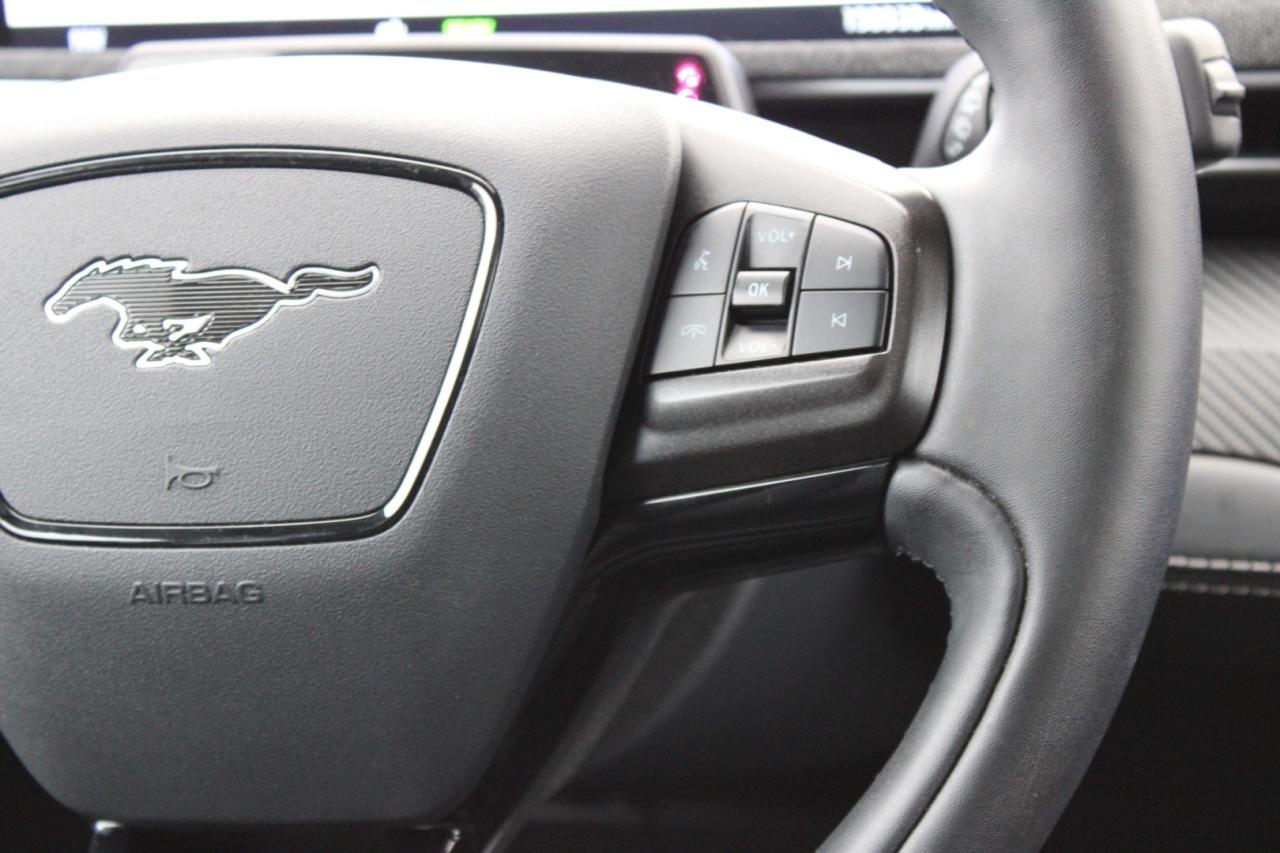 2021 Ford Mustang Mach-E Premium X AWD   No Accident   Extended Range Photo