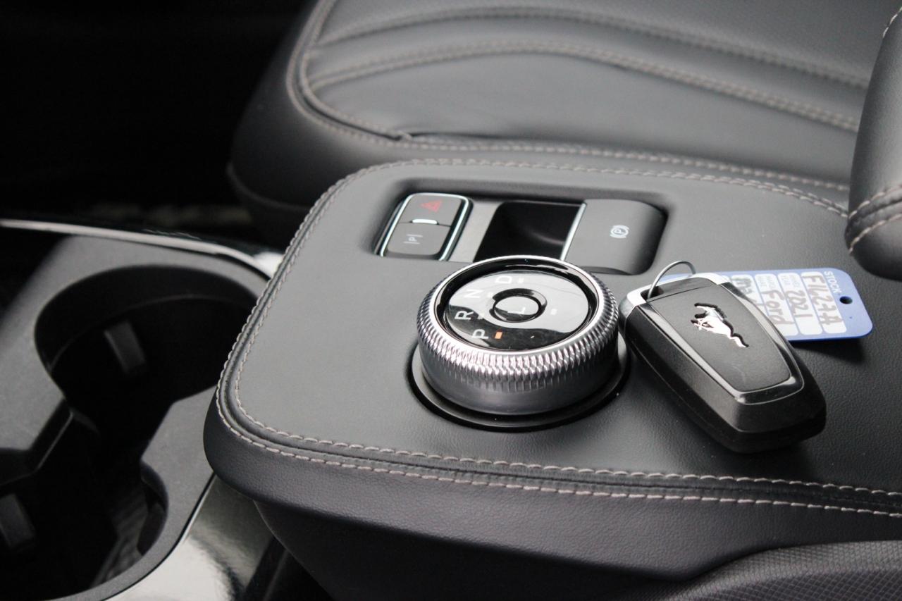 2021 Ford Mustang Mach-E Premium X AWD   No Accident   Extended Range Photo