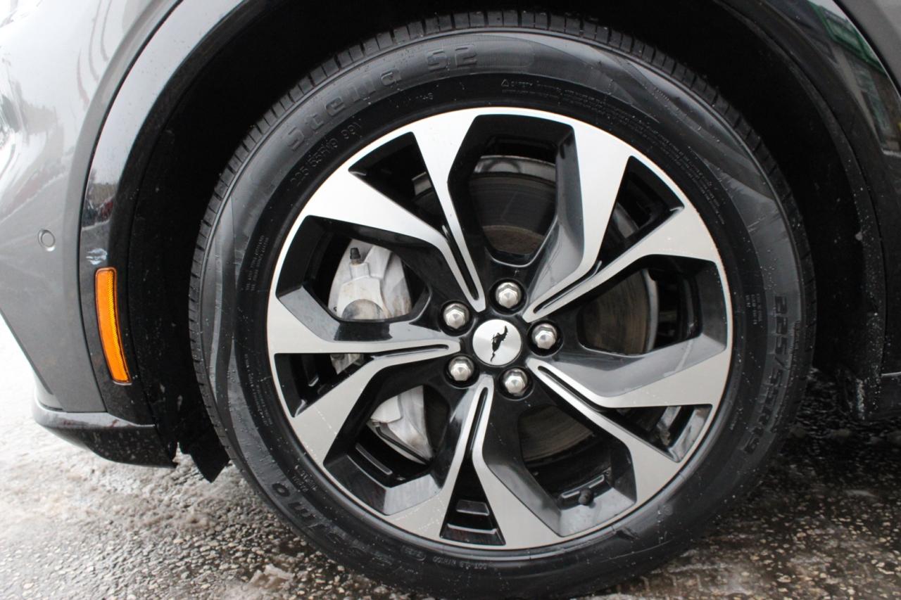 2021 Ford Mustang Mach-E Premium X AWD   No Accident   Extended Range Photo