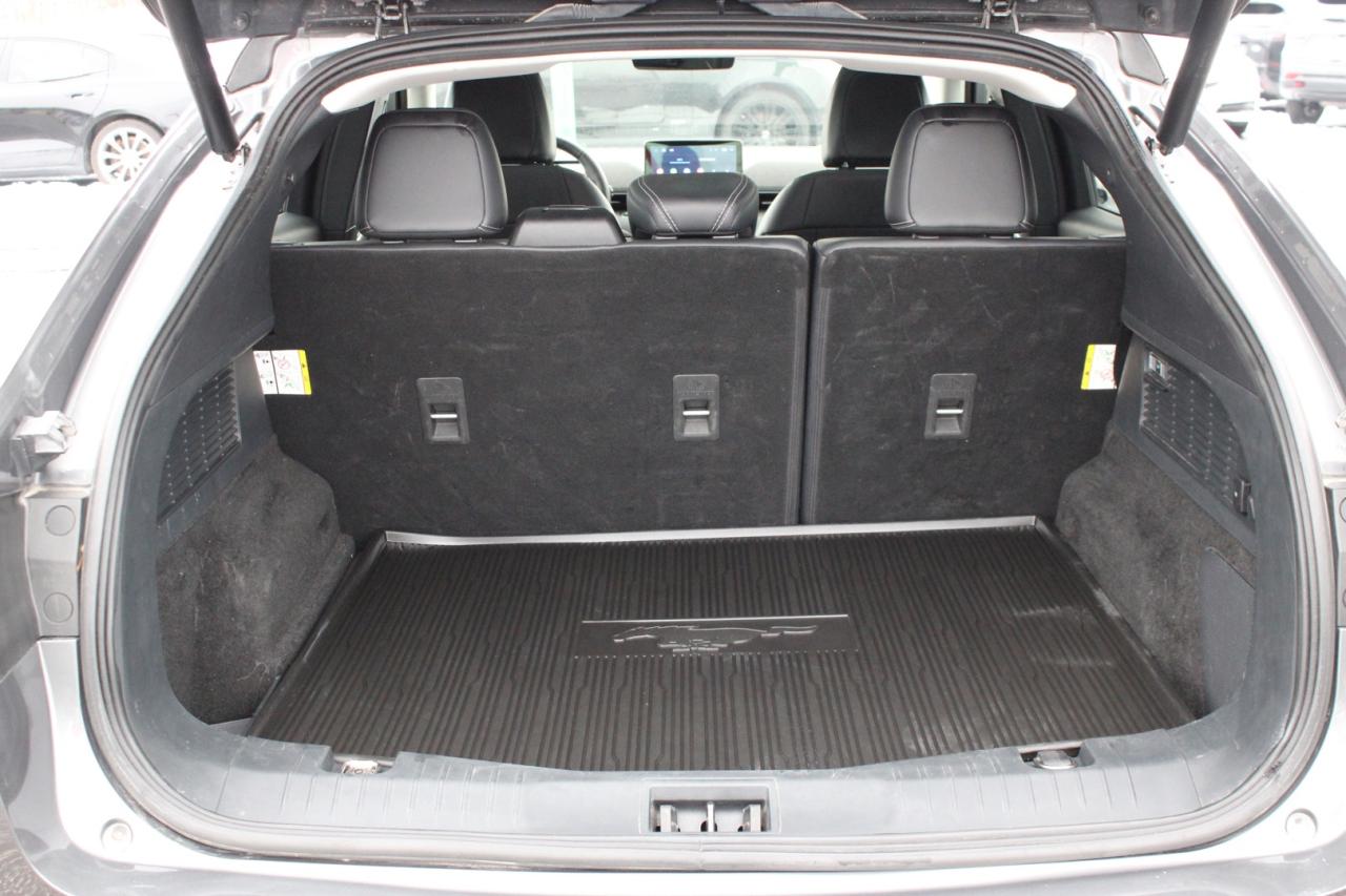 2021 Ford Mustang Mach-E Premium X AWD   No Accident   Extended Range Photo