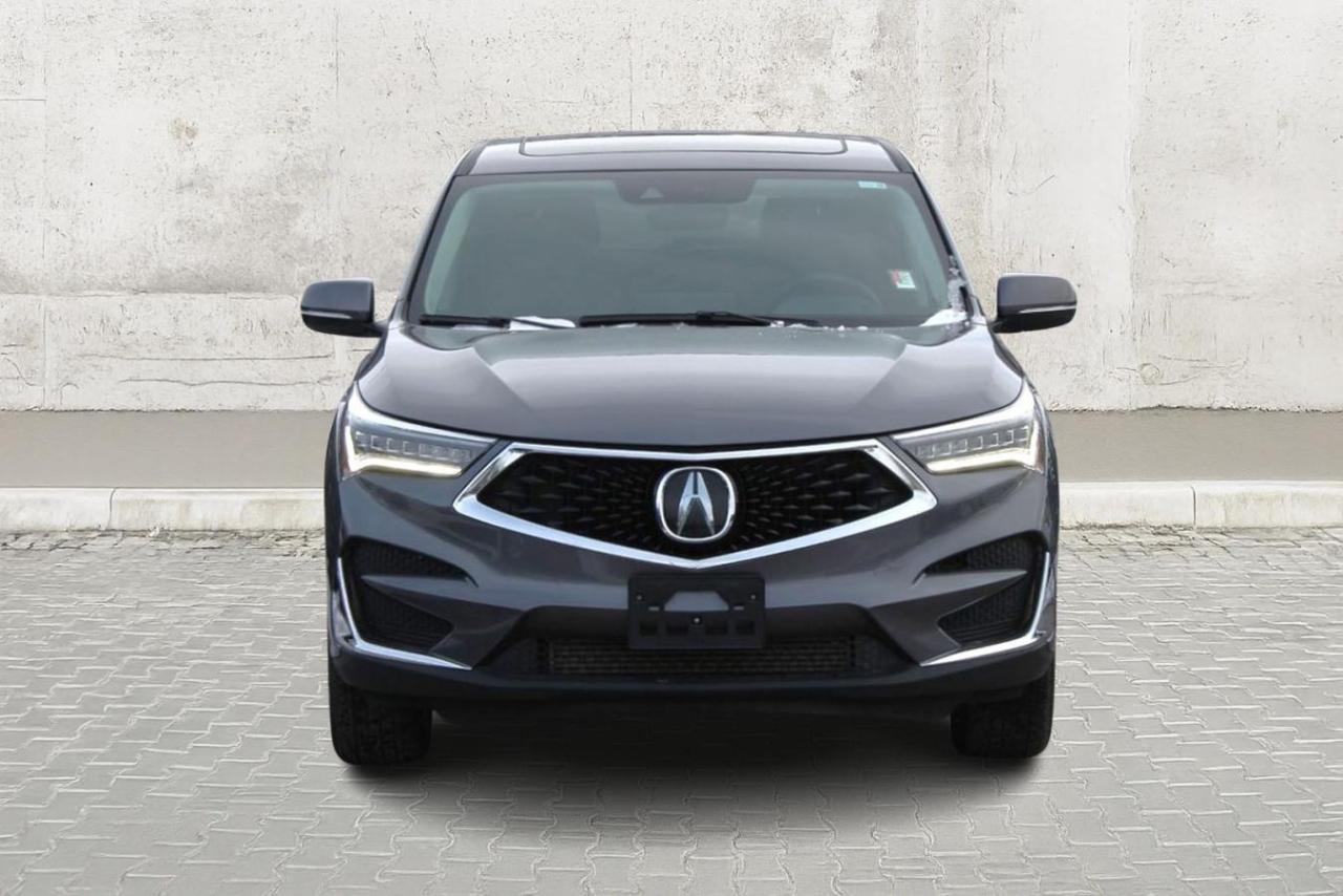 2019 Acura RDX  Photo
