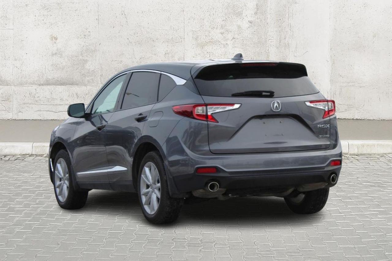 2019 Acura RDX  Photo