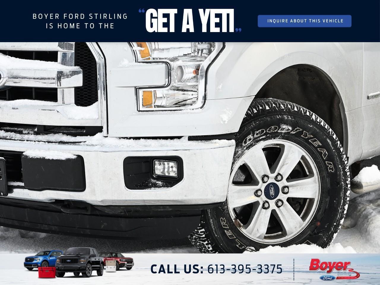 2016 Ford F-150 XLT ONE OWNER, LOCAL, DEALER SERVICED! Photo