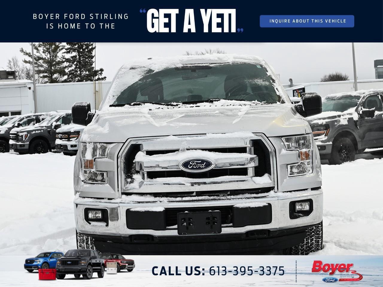 2016 Ford F-150 XLT ONE OWNER, LOCAL, DEALER SERVICED! Photo