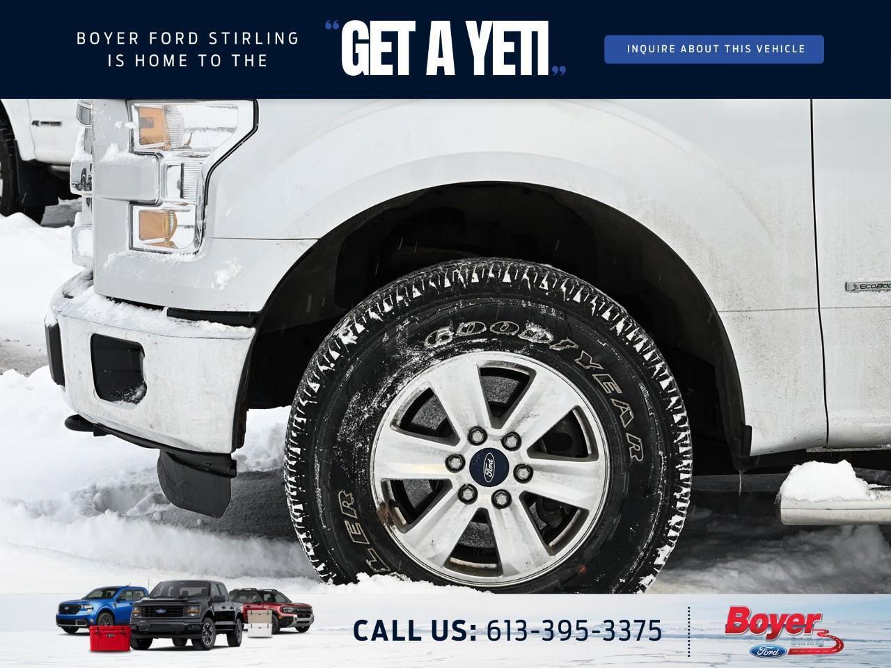 2016 Ford F-150 XLT ONE OWNER, LOCAL, DEALER SERVICED! Photo