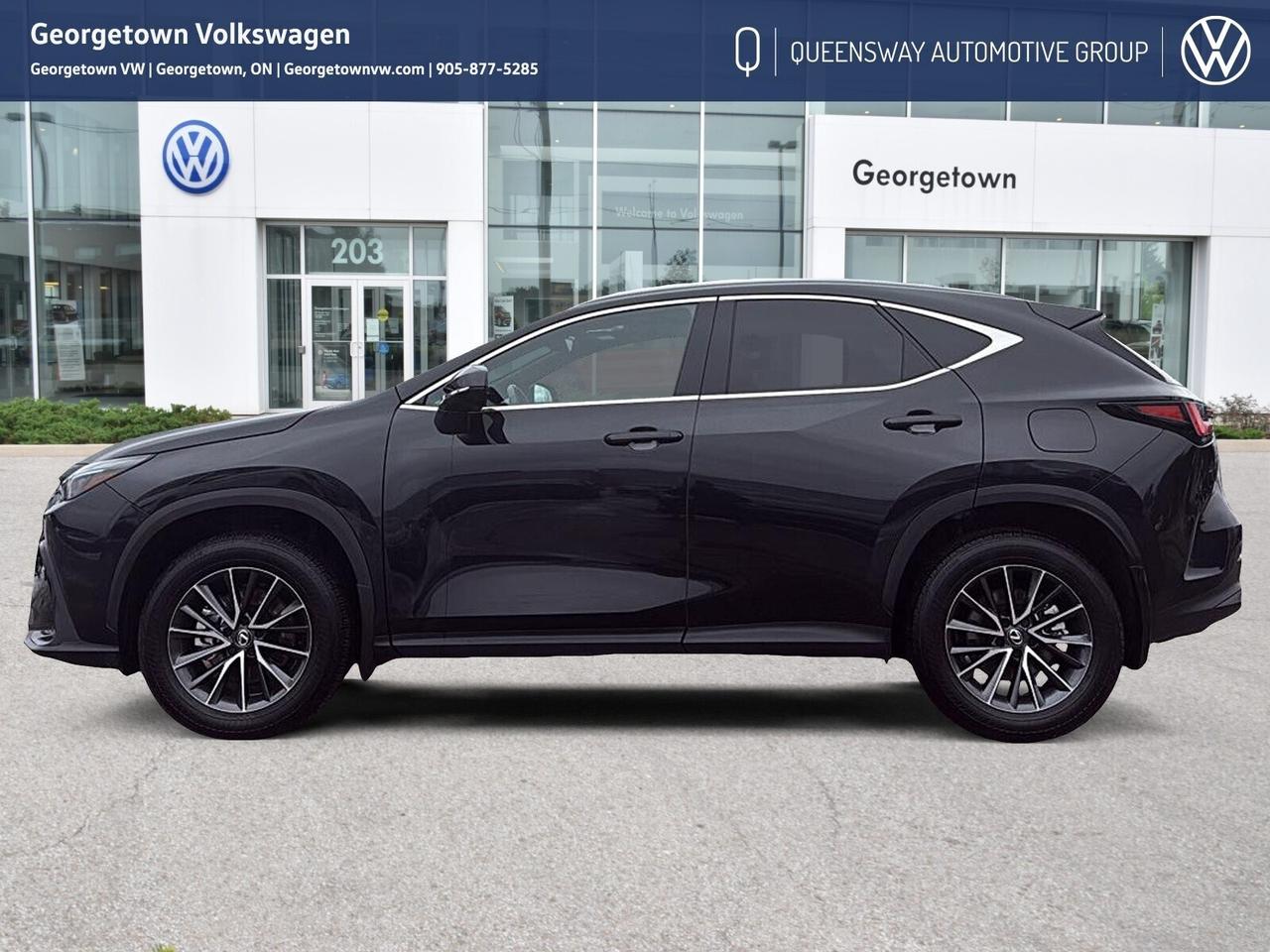 2025 Lexus NX 350 Base Premium Pkg   Sunroof   Carplay Photo