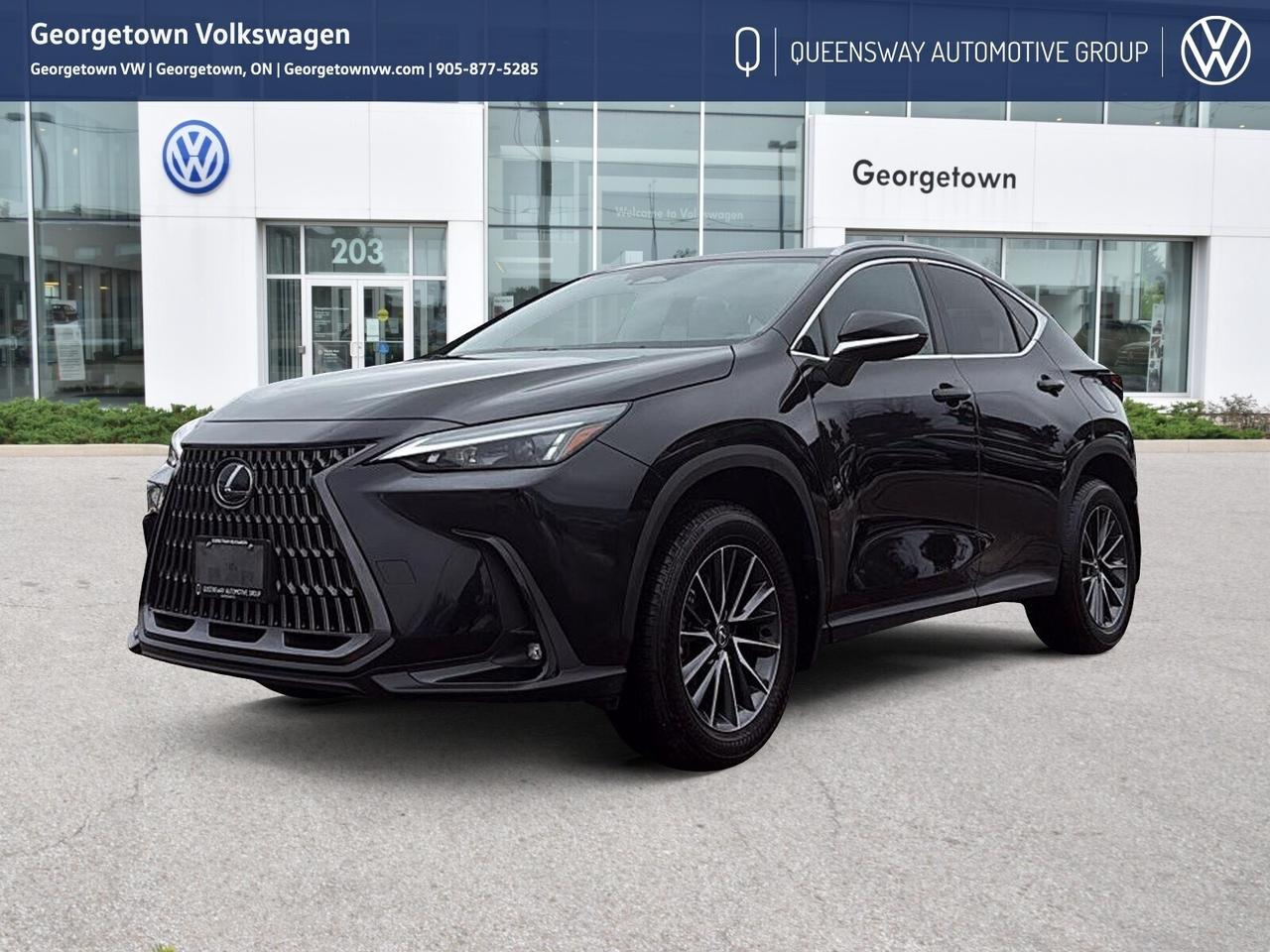 2025 Lexus NX 350 Base Premium Pkg   Sunroof   Carplay Photo