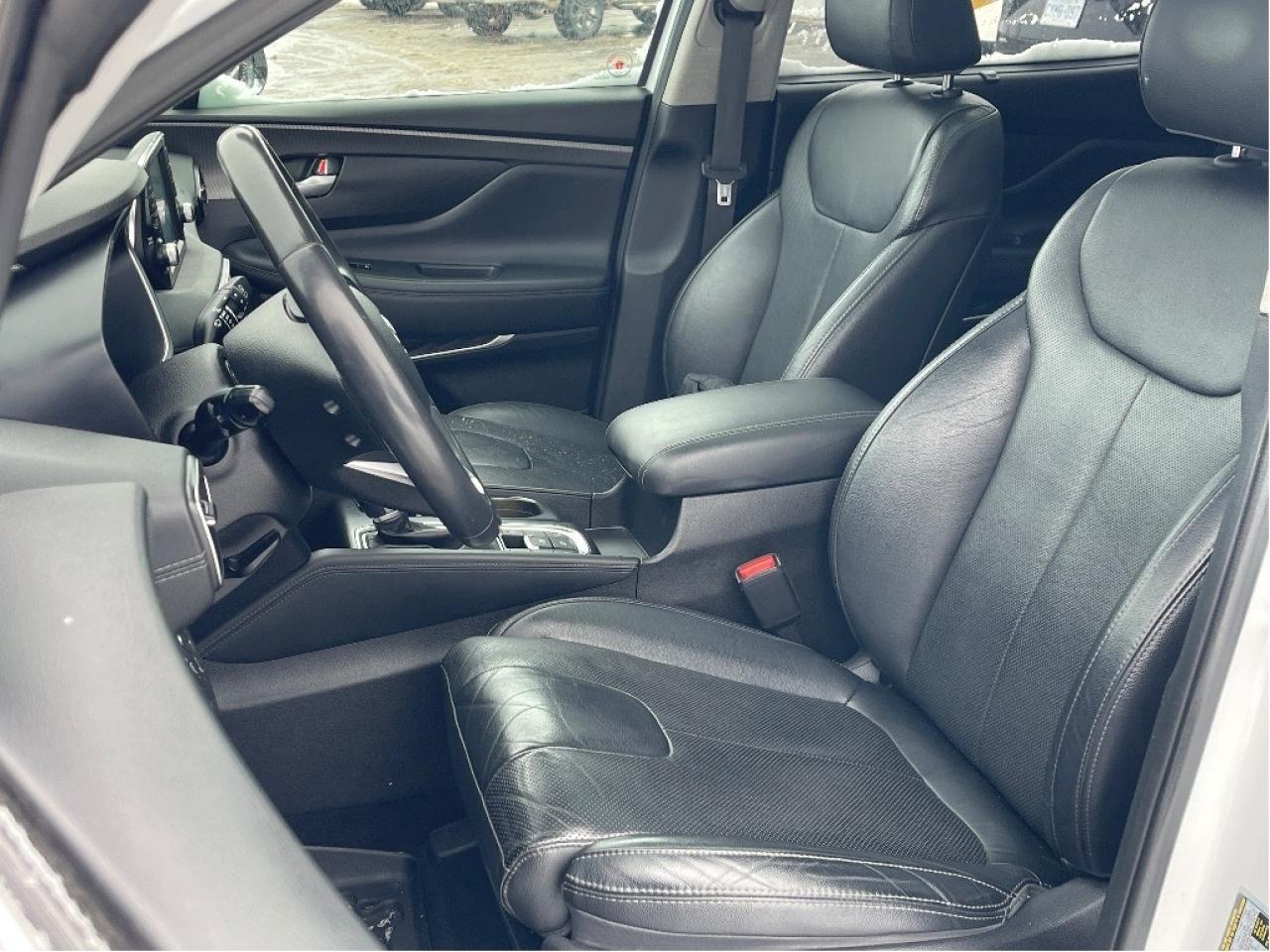 2019 Hyundai Santa Fe LUXURY PANO ROOF LEATHER LANE KEEP ONE OWNER Photo