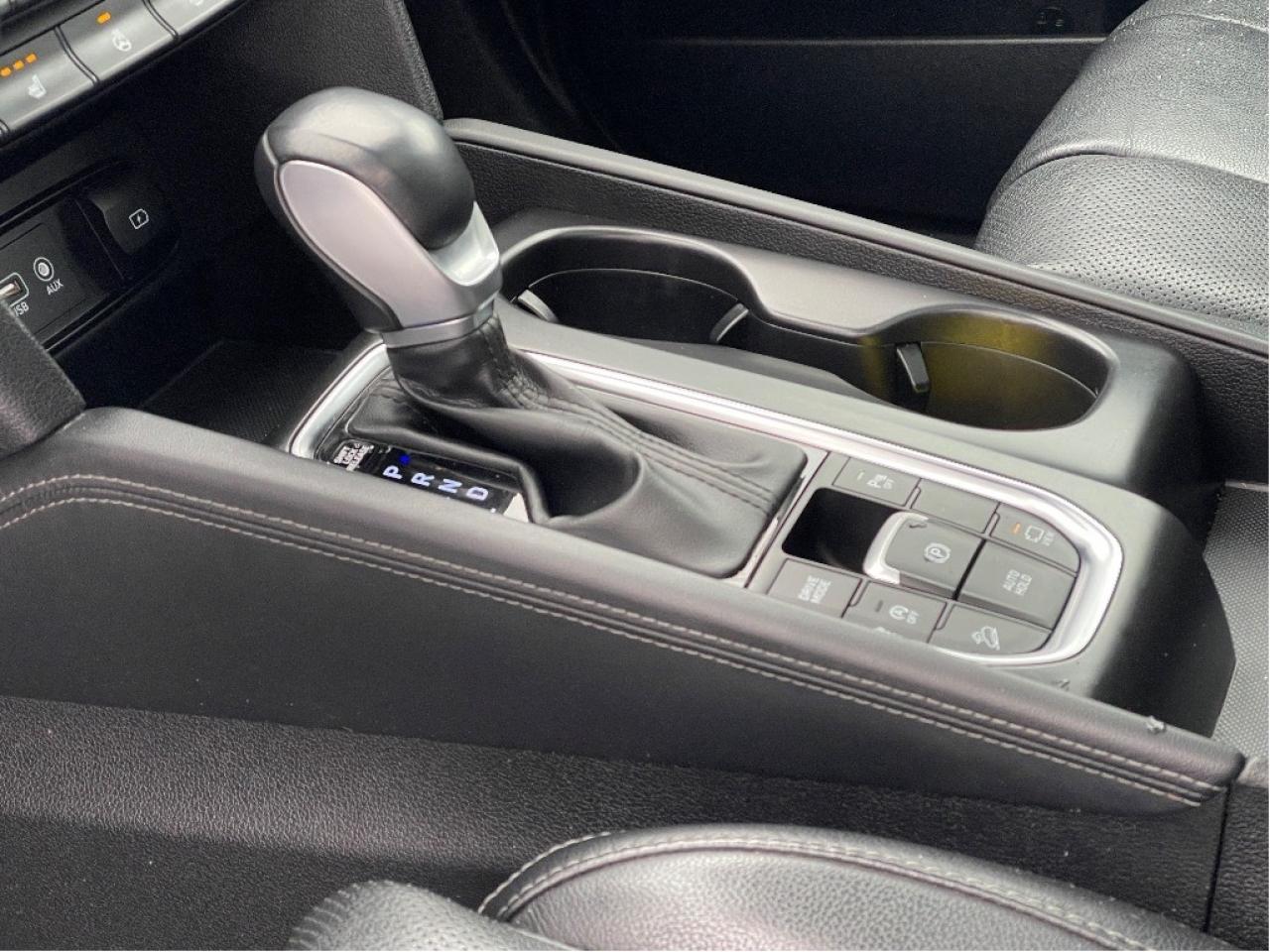 2019 Hyundai Santa Fe LUXURY PANO ROOF LEATHER LANE KEEP ONE OWNER Photo