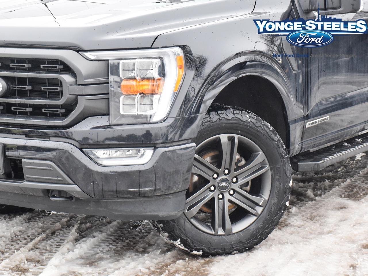 2021 Ford F-150 XLT 302A DEISEL POWER STROKE ONE OWNER FX4 Photo