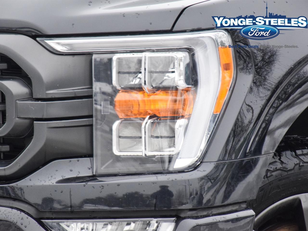 2021 Ford F-150 XLT 302A DEISEL POWER STROKE ONE OWNER FX4 Photo