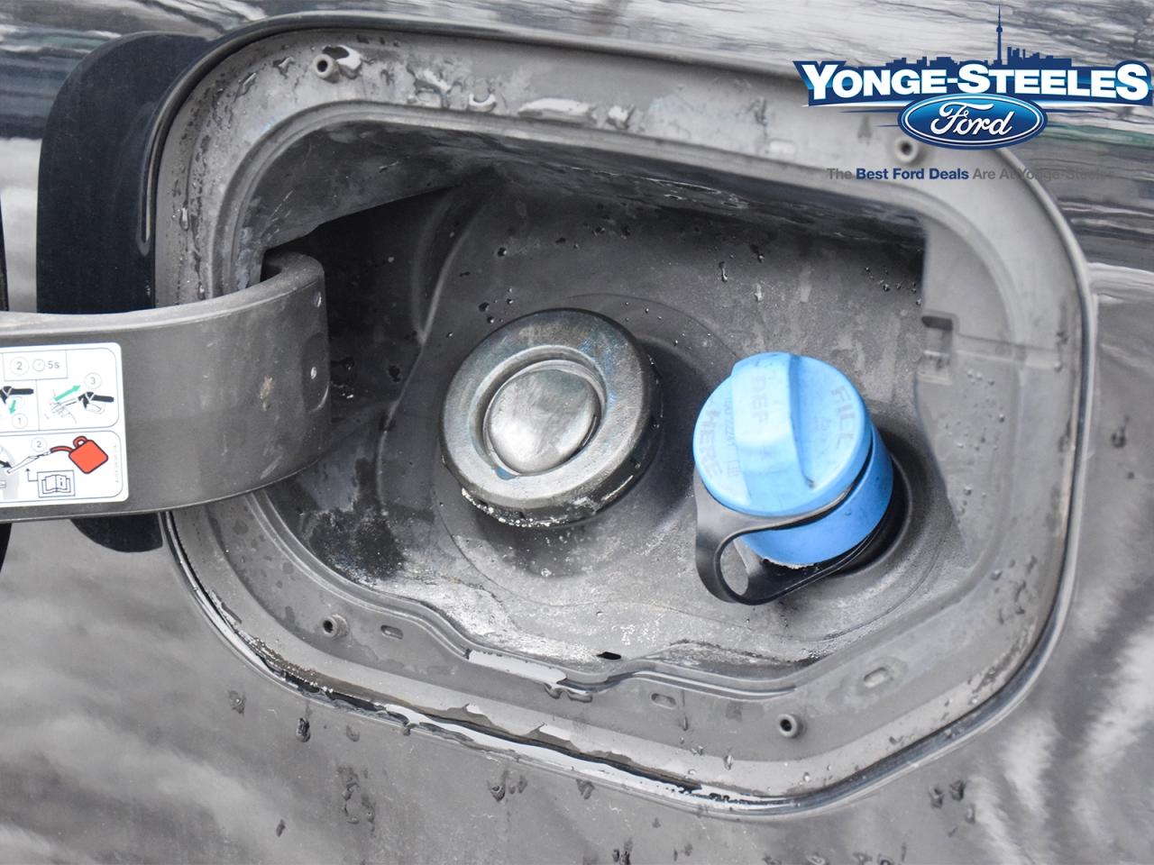 2021 Ford F-150 XLT 302A DEISEL POWER STROKE ONE OWNER FX4 Photo