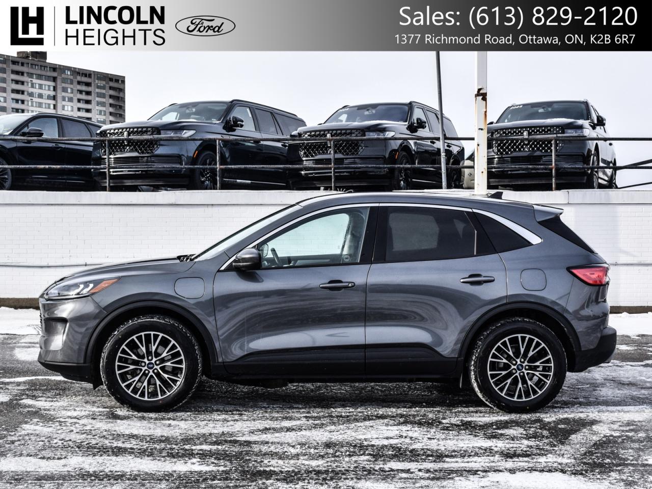 2022 Ford Escape  Photo