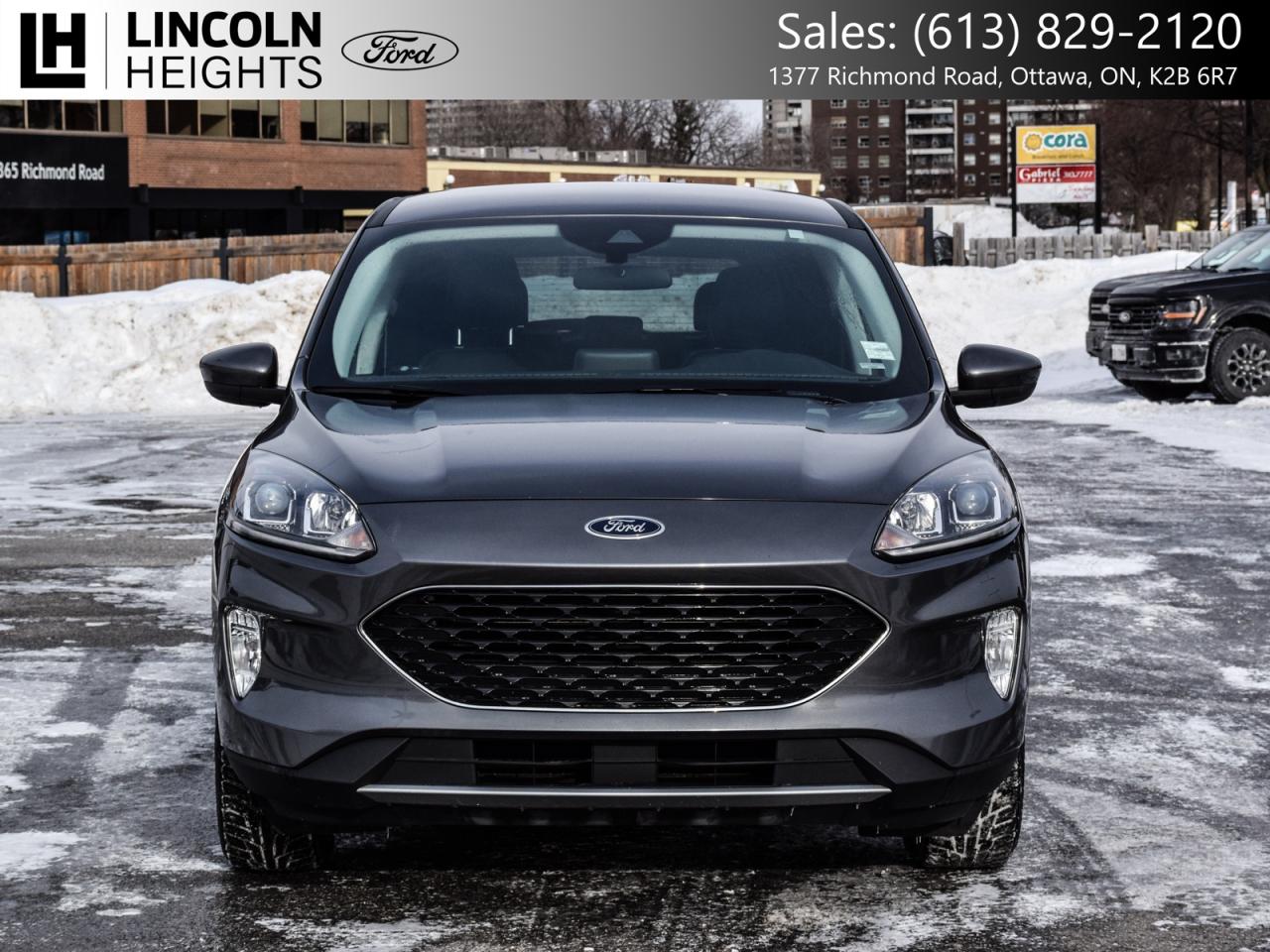 2022 Ford Escape  Photo