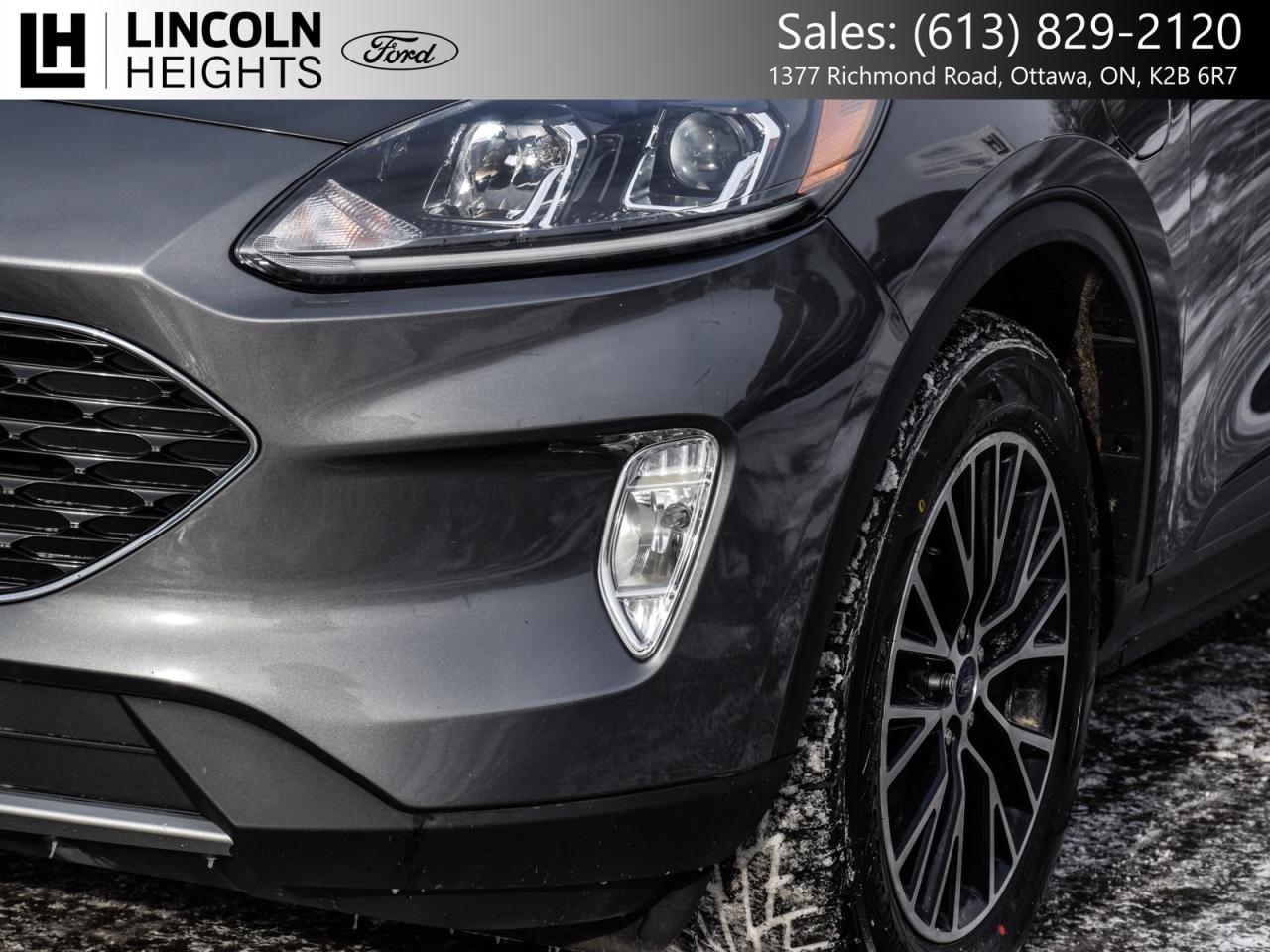 2022 Ford Escape  Photo