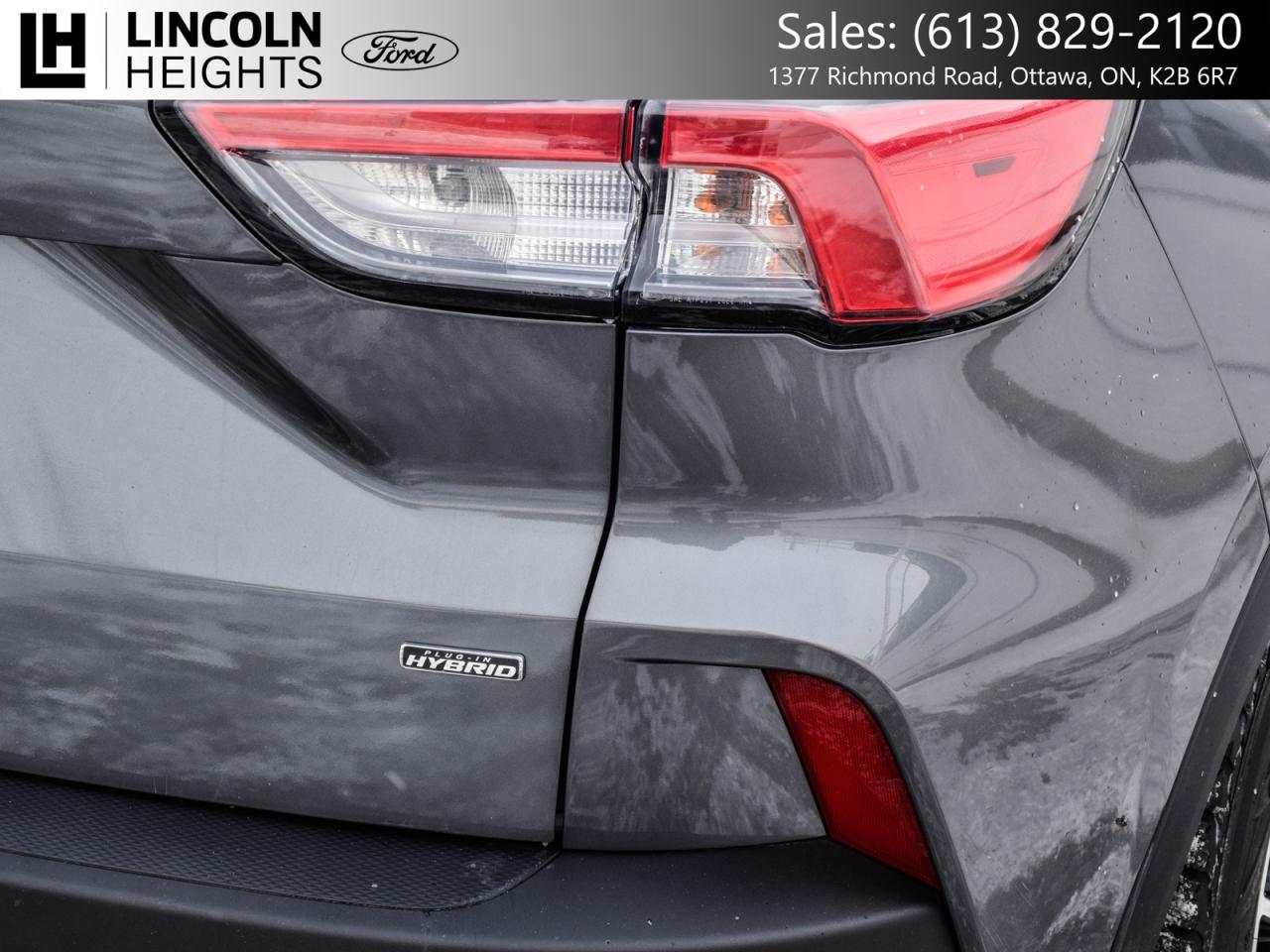 2022 Ford Escape  Photo