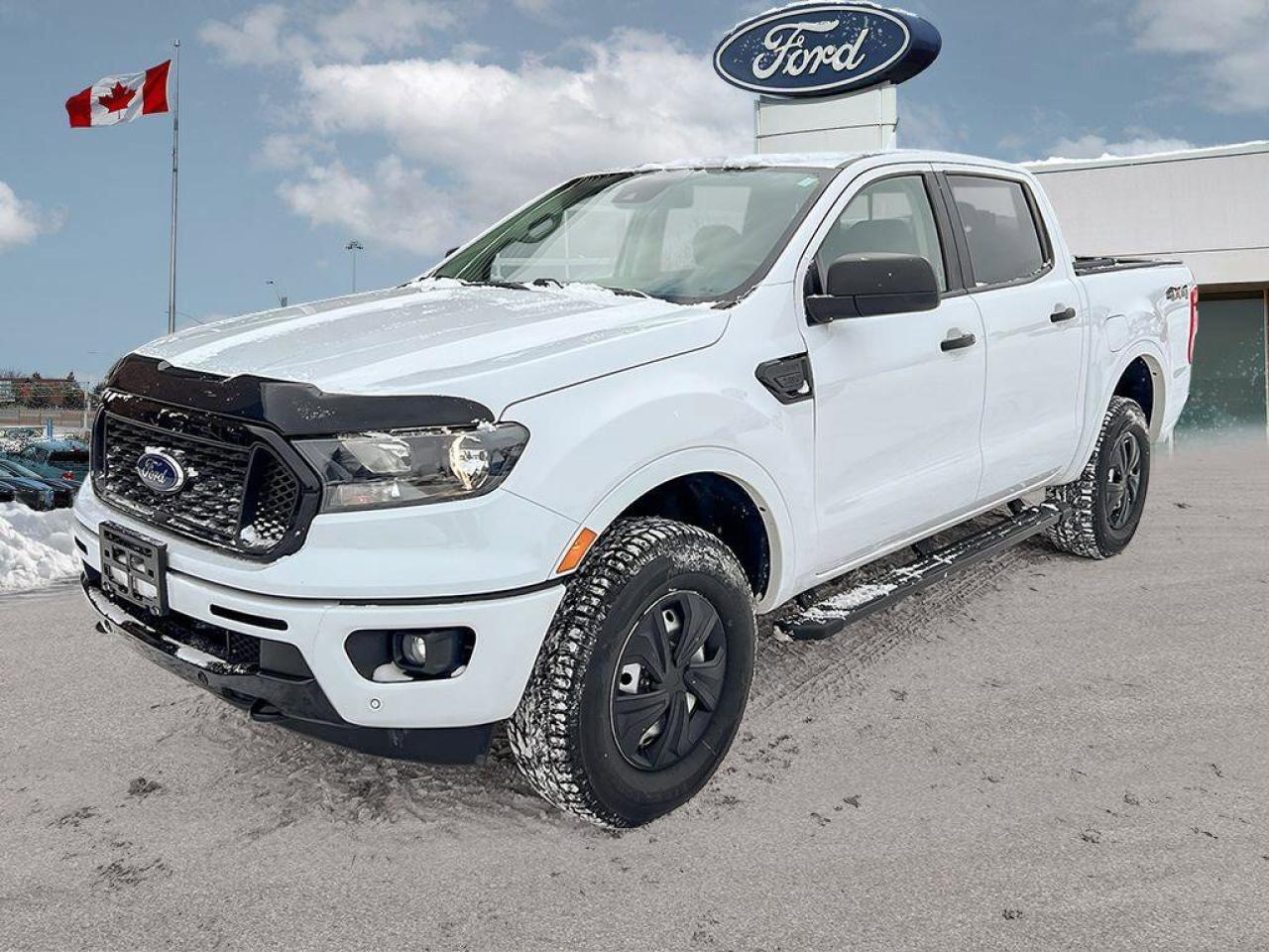 2019 Ford Ranger XLT   TRAILER TOW PKG   REAR CAMERA TRAILER TOW PK Photo