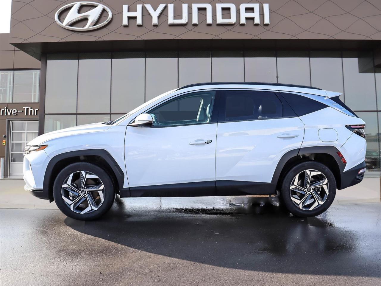 2022 Hyundai Tucson Hybrid Luxury Photo